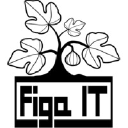 Logo podjetja Figa It